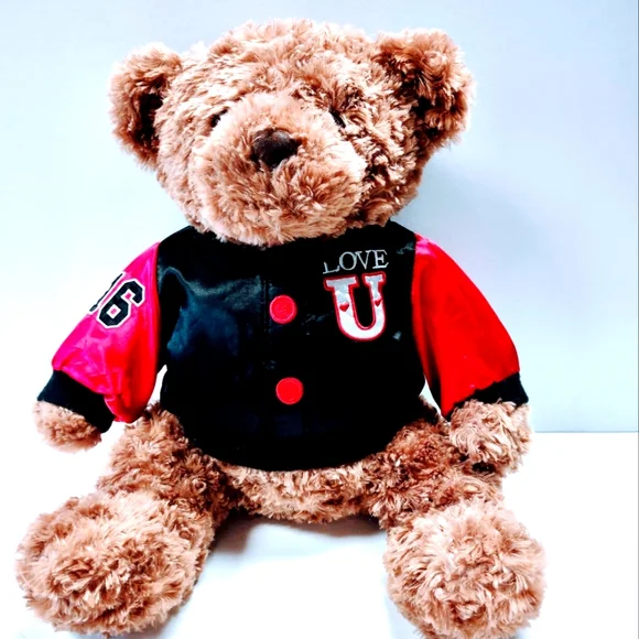 EUC Dan Dee Collector's Plush 17 " Brown Teddy Bear with Love U on the jacket - Picture 1 of 14